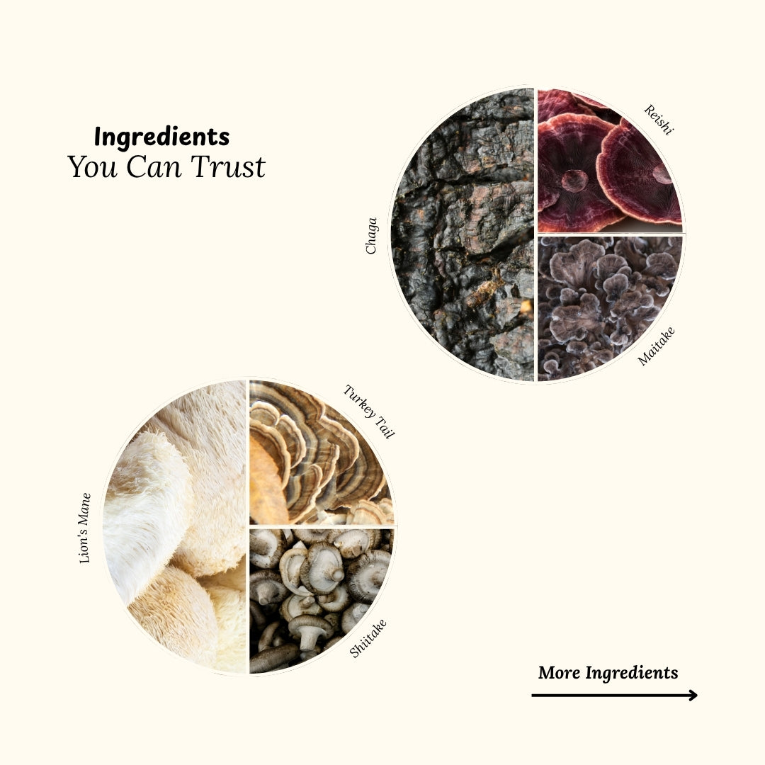 Body boost Adaptogenic Mushroom Blend